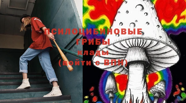 мдпв Бугульма